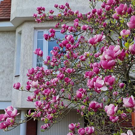 Apartament Magnolia Сопот Екстериор снимка